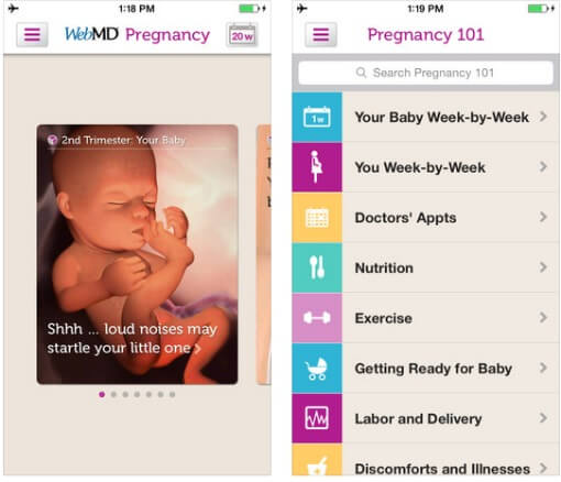 WebMD-Pregnancy
